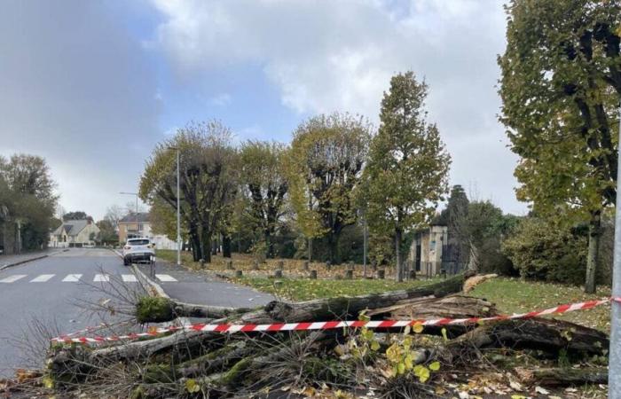 In BILDERN. Der Caetano-Sturm weht stark in der Loire-Atlantique