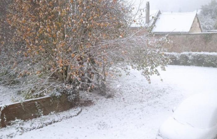 170.000 Kunden haben aufgrund von Schnee und Wind keinen Strom mehr