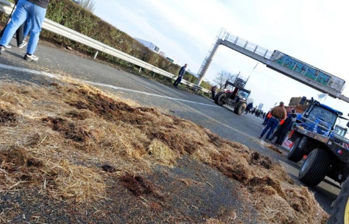 Die Autobahn A43 legte die betroffenen Sektoren lahm