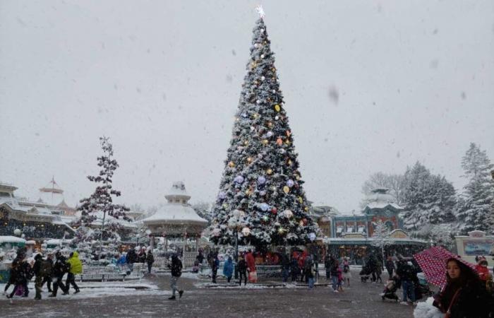 IN BILDERN. Von Meaux bis Disneyland Paris, die schönsten Schneefotos in Seine-et-Marne