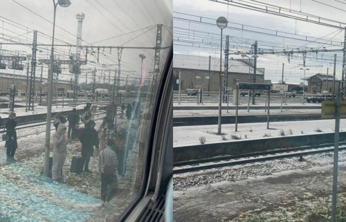 Schnee: Ein Zug hielt zwischen Paris und Marseille mehr als sechs Stunden lang an und seine Passagiere mussten den Bahnhof Lyon verlassen