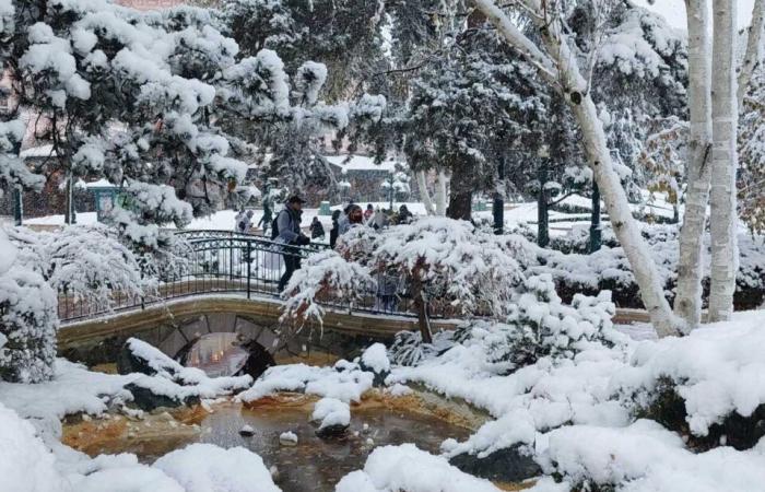 IN BILDERN. Von Meaux bis Disneyland Paris, die schönsten Schneefotos in Seine-et-Marne