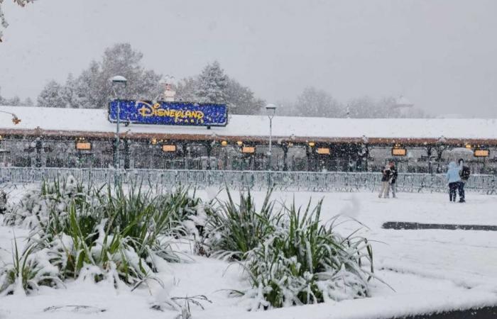 IN BILDERN. Von Meaux bis Disneyland Paris, die schönsten Schneefotos in Seine-et-Marne