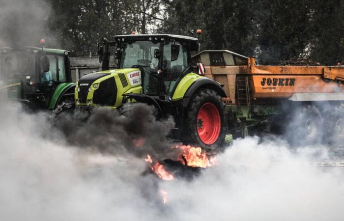 Nach Regierungsankündigungen kündigt die ländliche Koordination die Aufhebung der Blockade des Hafens von Bordeaux – Libération – an