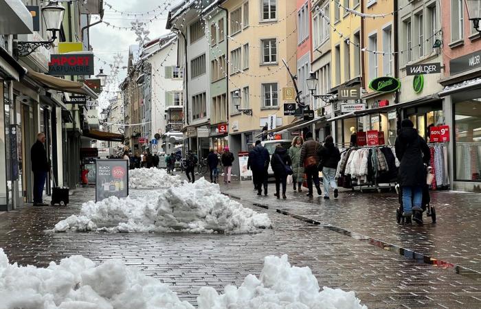 Schnee in Winterthur: Die schönsten Bilder und wichtigsten Infos