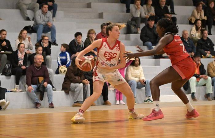 Amateurbasketball – Women’s Occitanie Cup: eine verlockende Doppelkonfrontation zwischen Auch und Gimont in der Hauptstadt von Gers