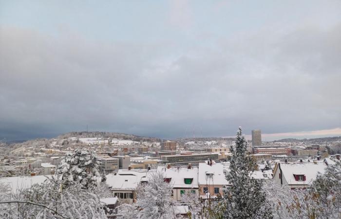 Schnee in Winterthur: Die schönsten Bilder und wichtigsten Infos