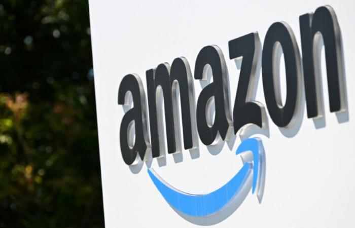 Amazon investiert weitere 4 Milliarden US-Dollar in Anthropic – 22.11.2024 um 18:18 Uhr