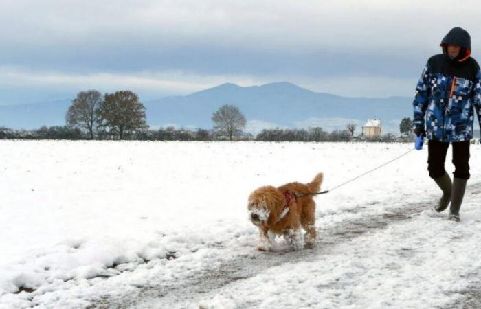 Diashow. Schneespaziergang im Mittelelsass