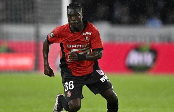 Stade Rennes. Eine fast vollständige Gruppe für die Reise nach Lille