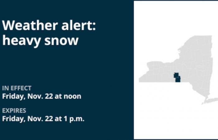 Wetter in New York: Bereiten Sie sich am Freitagnachmittag auf starken Schneefall in den Landkreisen Tompkins und Tioga vor