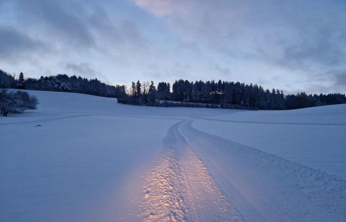 Schnee in Winterthur: Die schönsten Bilder und wichtigsten Infos