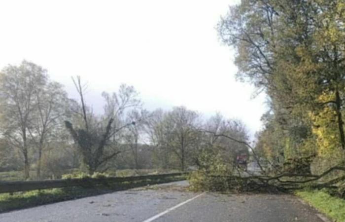 Mehr als 500 Haushalte in Indre haben immer noch keinen Strom