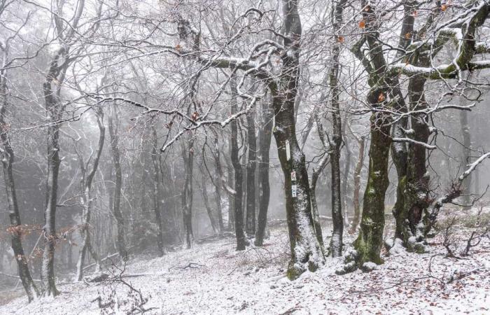 Schneeregen, Glätte und Frost in Frankfurt, dann dreht sich das Wetter komplett