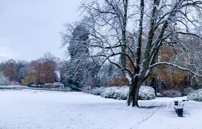 Aufgrund des Winterwetters kommt es in der Nähe von Arnheim zu langen Staus. Rijkswaterstaat rät, die Region zu meiden