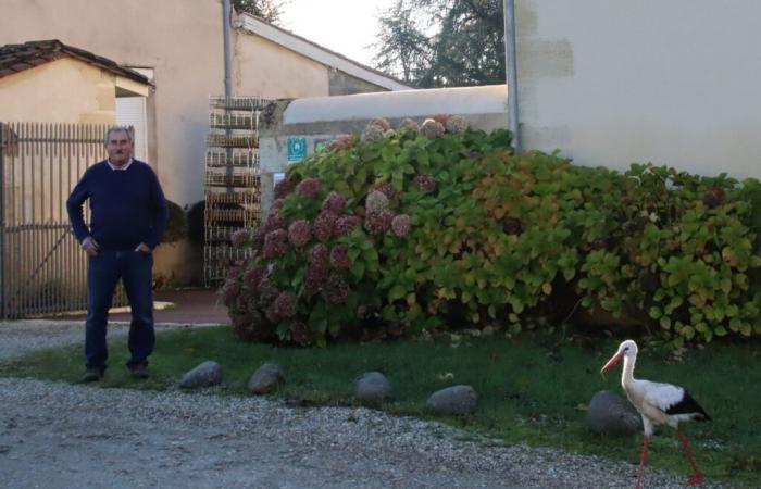 Ein seltsamer Hausbesetzer hat sich in diesem Viertel der Gironde niedergelassen