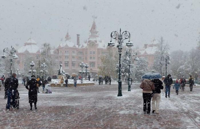 IN BILDERN. Von Meaux bis Disneyland Paris, die schönsten Schneefotos in Seine-et-Marne