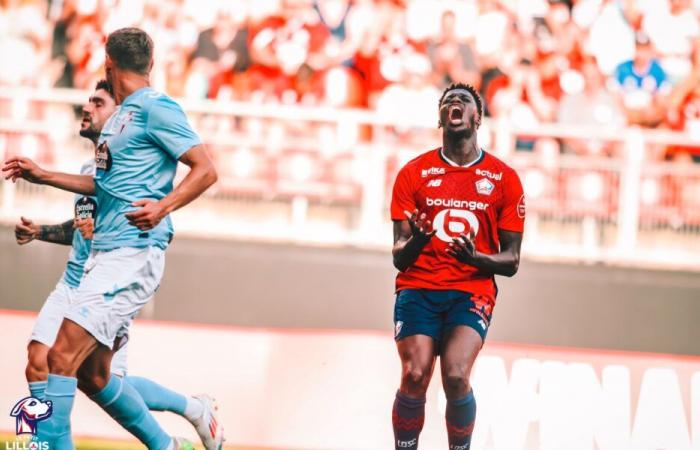 CAN 2025: Krieg der Kommuniqués mit Tansania, ein von Guinea von Mohamed Bayo (LOSC) eingereichter Vorbehalt