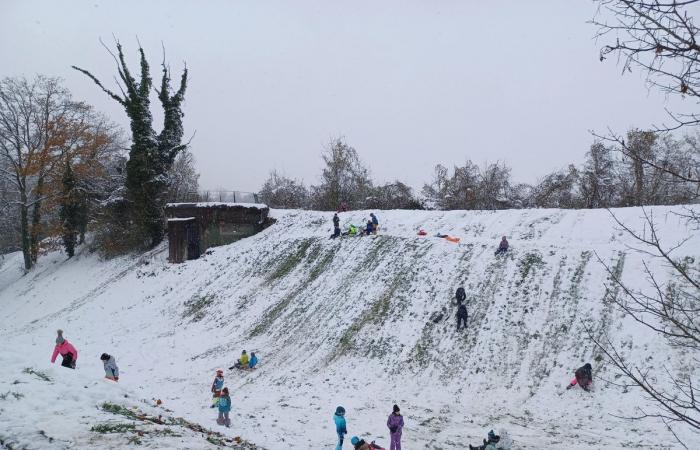 Schnee in Winterthur: Die schönsten Bilder und wichtigsten Infos