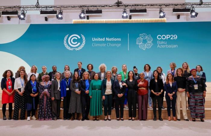 Auf der COP29 lehnen Saudi-Arabien, Iran, Russland, Ägypten und der Vatikan Maßnahmen zur Gleichstellung der Geschlechter ab