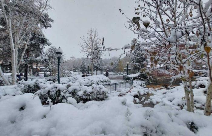 IN BILDERN. Von Meaux bis Disneyland Paris, die schönsten Schneefotos in Seine-et-Marne