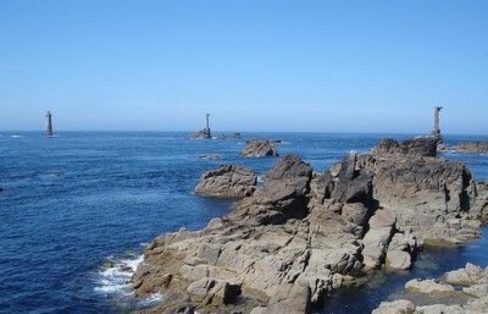 Finistère: Ein goldener Hummer, ein äußerst seltenes Exemplar, gefangen auf der Insel Ouessant