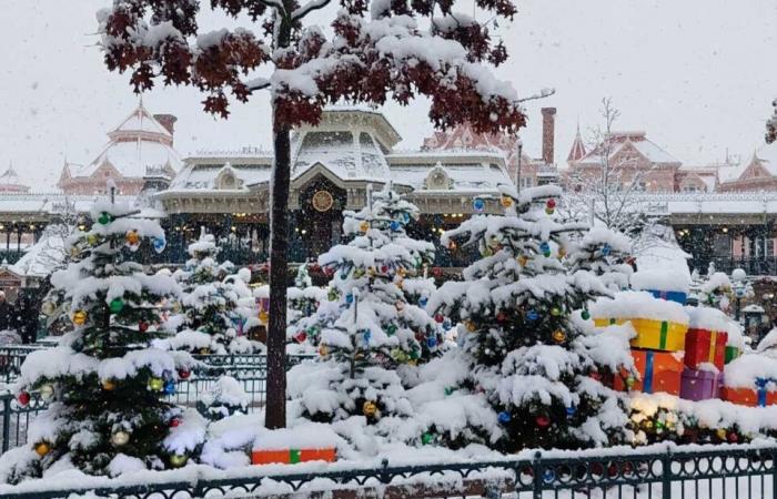 IN BILDERN. Von Meaux bis Disneyland Paris, die schönsten Schneefotos in Seine-et-Marne