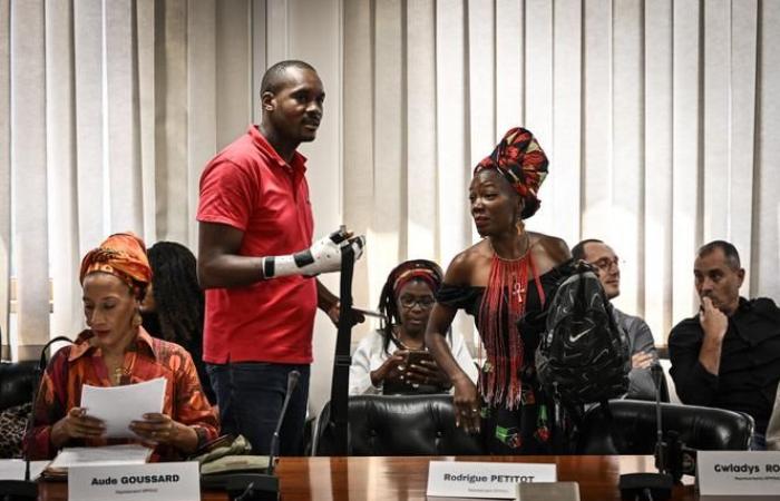 Auf Martinique wurden drei Mitglieder des Kollektivs, das gegen die hohen Lebenshaltungskosten kämpft, festgenommen