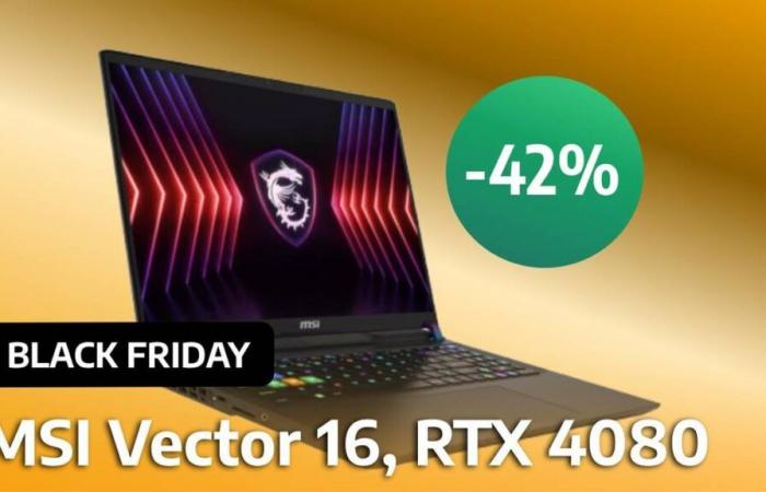 Black Friday: Fnac lässt sich mitreißen und vernichtet den Preis des Gaming-Laptops MSI Vector 16 mit der RTX 4080