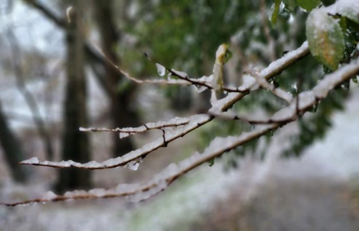 nach dem Schnee das Eis?