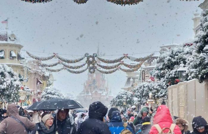 IN BILDERN. Von Meaux bis Disneyland Paris, die schönsten Schneefotos in Seine-et-Marne