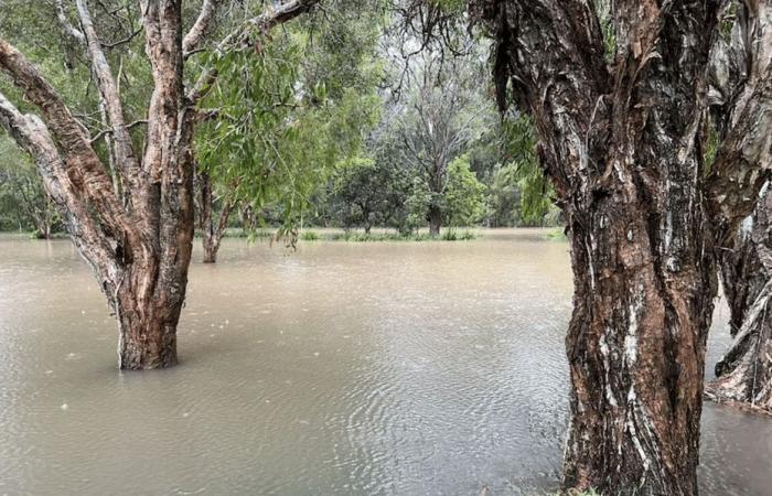 Der Bundesstaat Queensland wurde von sintflutartigen Regenfällen heimgesucht