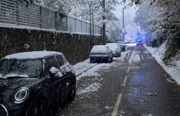 In Yvelines ist seit 24 Stunden ein ganzes Viertel ohne Strom, weil ein Baum umgestürzt ist