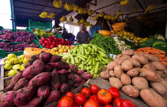 Bericht: Die Preise für Gemüse und Öle sind gestiegen und „Rashidia“ ist das teuerste im Land