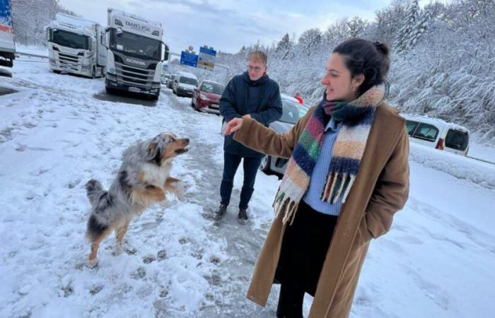 2.000 bis 2.500 Lkw auf der A36 blockiert, APRR macht Schwerlastverkehr verantwortlich