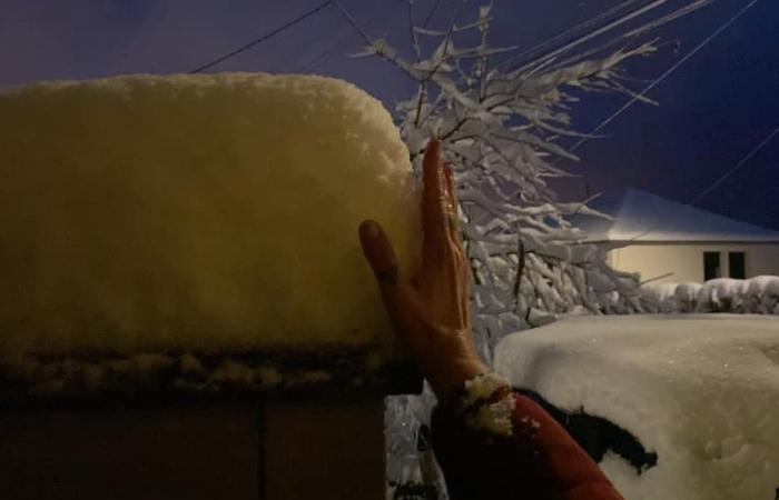 IN BILDERN. Und 10, 15, 20, 25 Zentimeter Schnee! Ihre beeindruckenden Winterfotos in der Franche-Comté