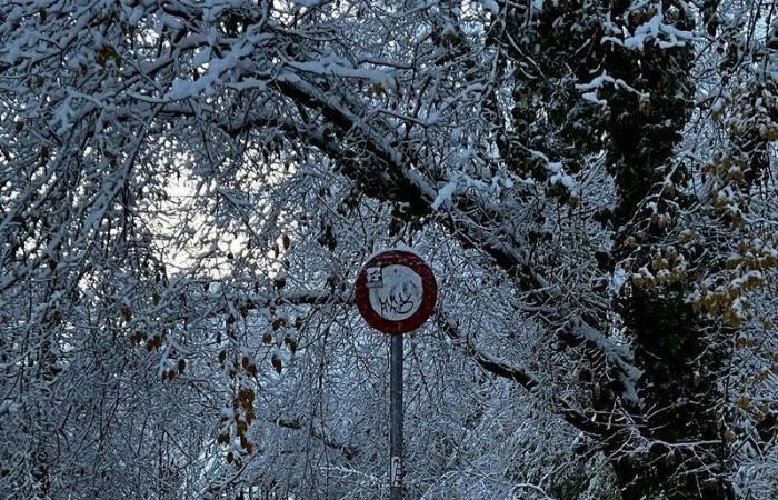 Basel: Schnefälle sorgen für Verkehrsbehinderungen bei BVB