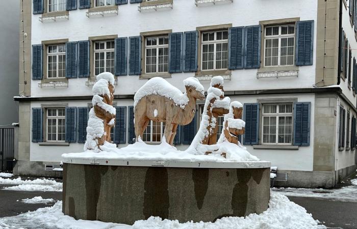 Schnee in Winterthur: Die schönsten Bilder und wichtigsten Infos