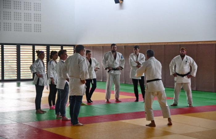 Der Judo-Champion hatte bei der Geburt Augenverbrennungen: Zeugenaussage in der Nähe von Loudéac