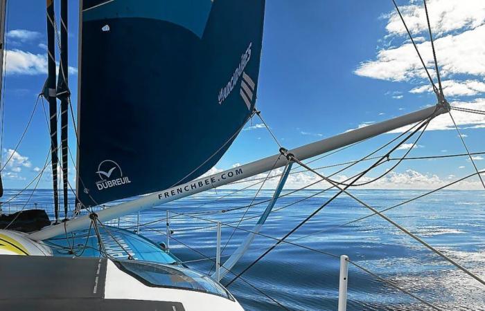 Thomas Ruyant am Äquator langsamer als in den letzten drei Ausgaben, Rekorde für Langsamkeit im Vendée Globe