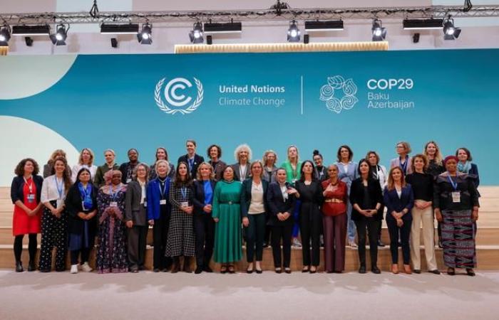 Auf der COP29 lehnen Saudi-Arabien, Iran, Russland, Ägypten und der Vatikan Maßnahmen zur Gleichstellung der Geschlechter ab