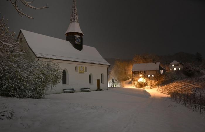 Schnee in Winterthur: Die schönsten Bilder und wichtigsten Infos