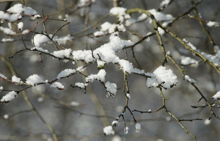 Sturm Caetano: „Rutschige Straßen“, es könnte noch ein paar Zentimeter Schnee fallen … 21 Departements sind immer noch in Alarmbereitschaft