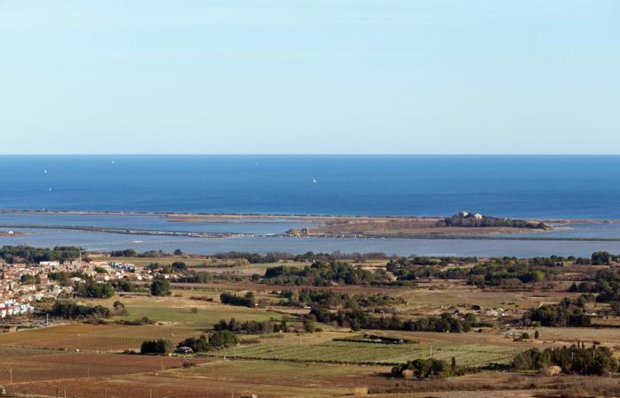 Als in einem Hérault-Massiv vergiftete Fleischbällchen entdeckt wurden, starben mehrere Hunde