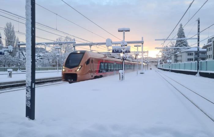 Basel: Schnefälle sorgen für Verkehrsbehinderungen bei BVB