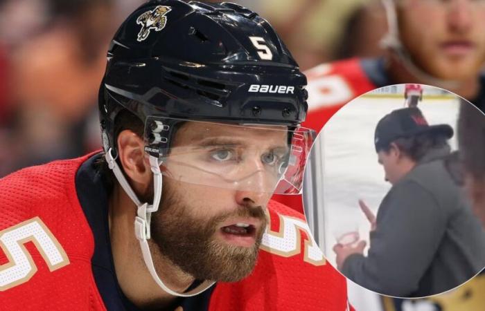 Aaron Ekblad verliert die Ruhe und greift einen Anhänger an, der ihn beleidigt hat