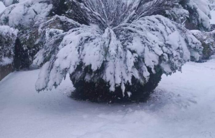 Nach dem Schneefall wurde vielen Einwohnern in Orne die Heizung entzogen