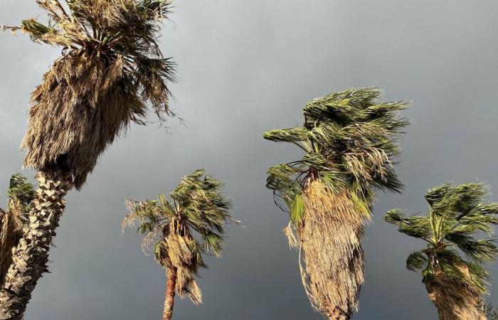 Korsika ist an diesem Freitagmorgen für den Parameter „Wind“ orange und kehrt im Laufe des Tages zur Normalität zurück