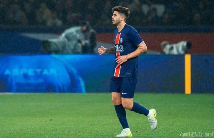 Spiel: PSG/Toulouse (3:0), Einzelleistungen