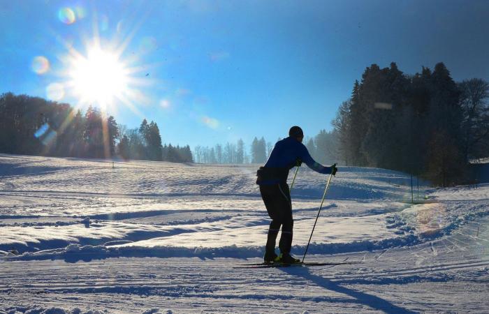 Schnee in Winterthur: Die schönsten Bilder und wichtigsten Infos